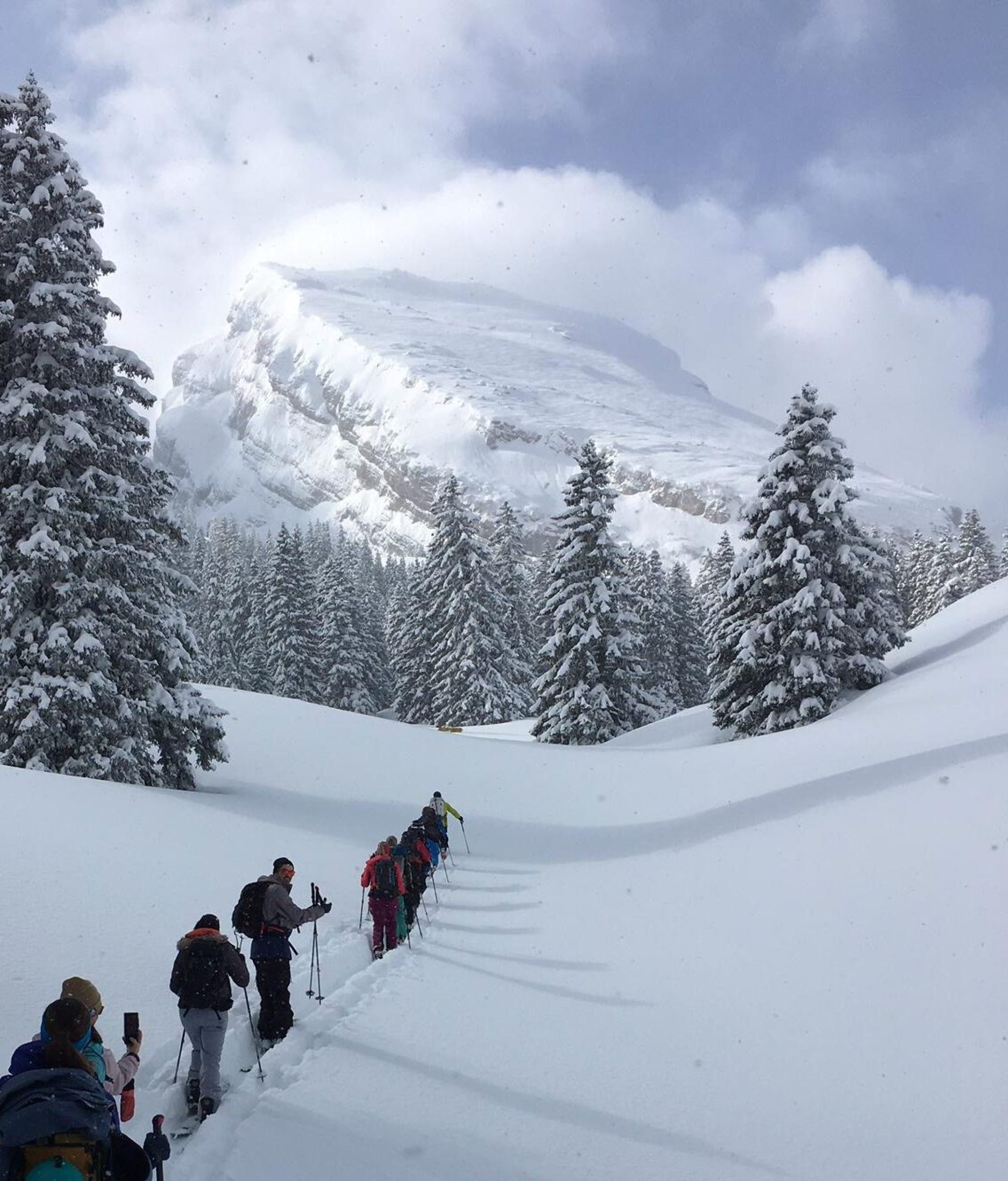 015694ce-3c4d-47b1-b2e4-8b244cb16429